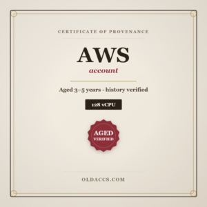 Buy Aged AWS 128 vCPU Account