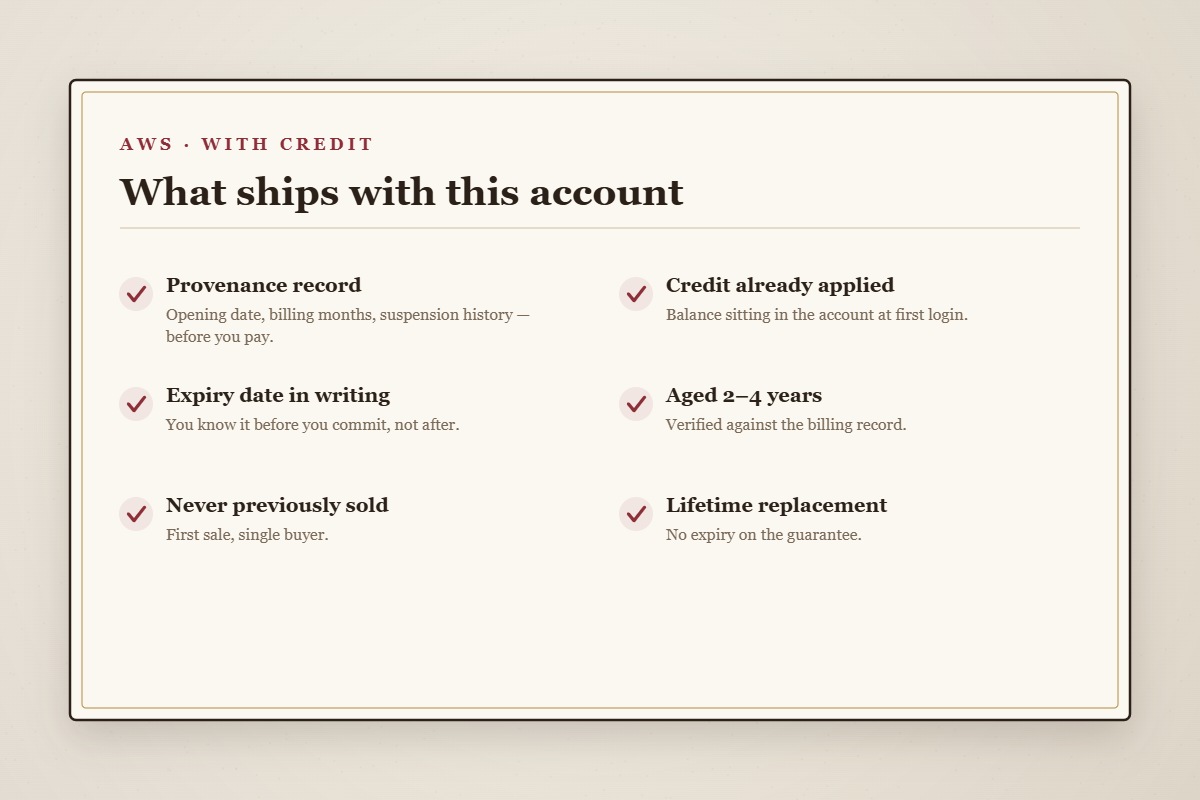 What you receive when you buy an aged AWS account with credit