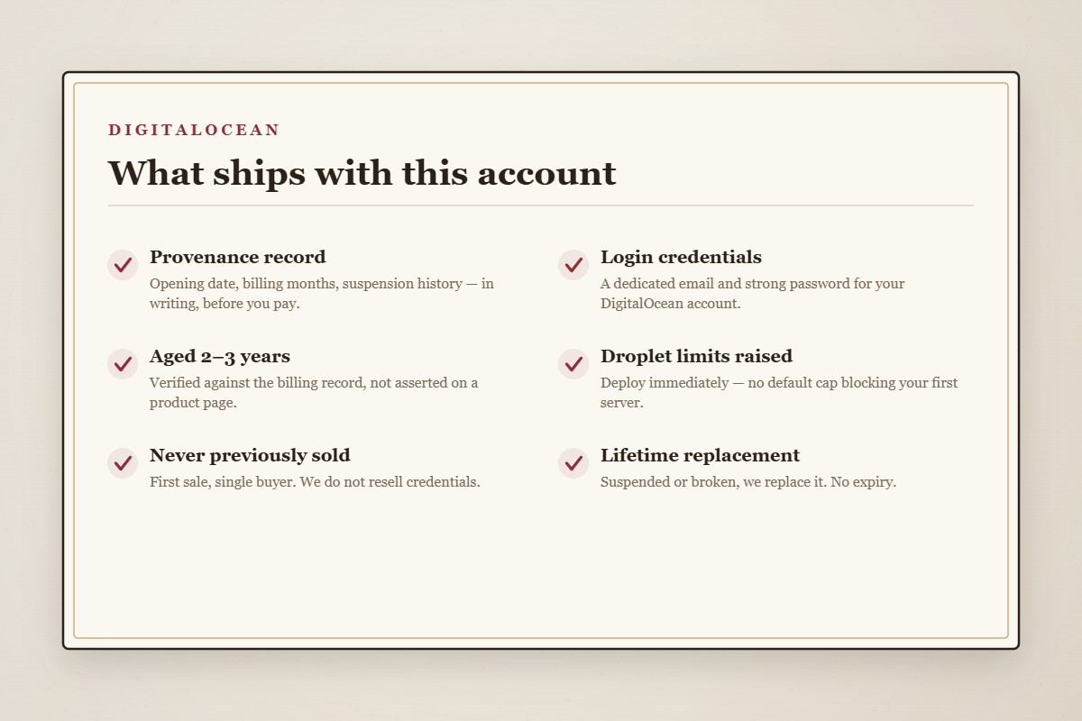 What you receive when you buy an aged DigitalOcean account