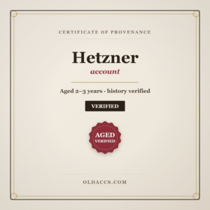 Buy Aged Hetzner Accounts